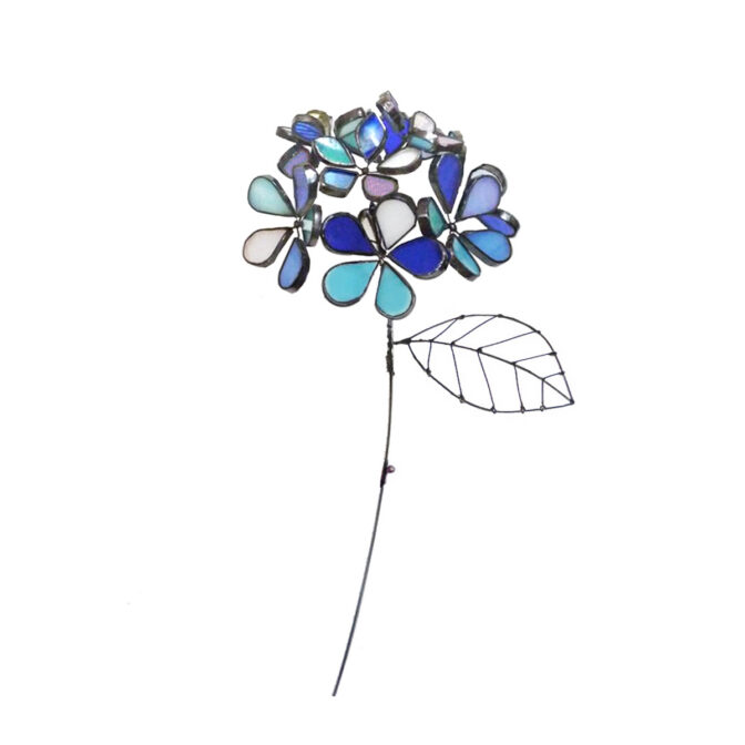 ブルー色の紫陽花