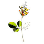 フラワー-4全体