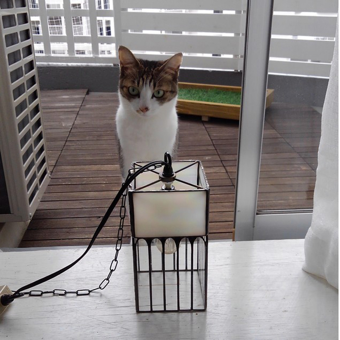 ラインランプ11