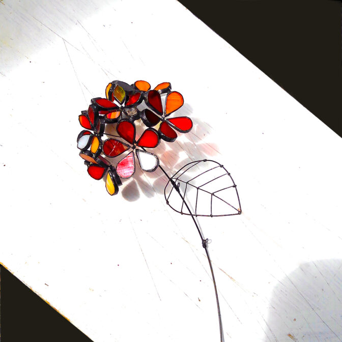 紫陽花赤3