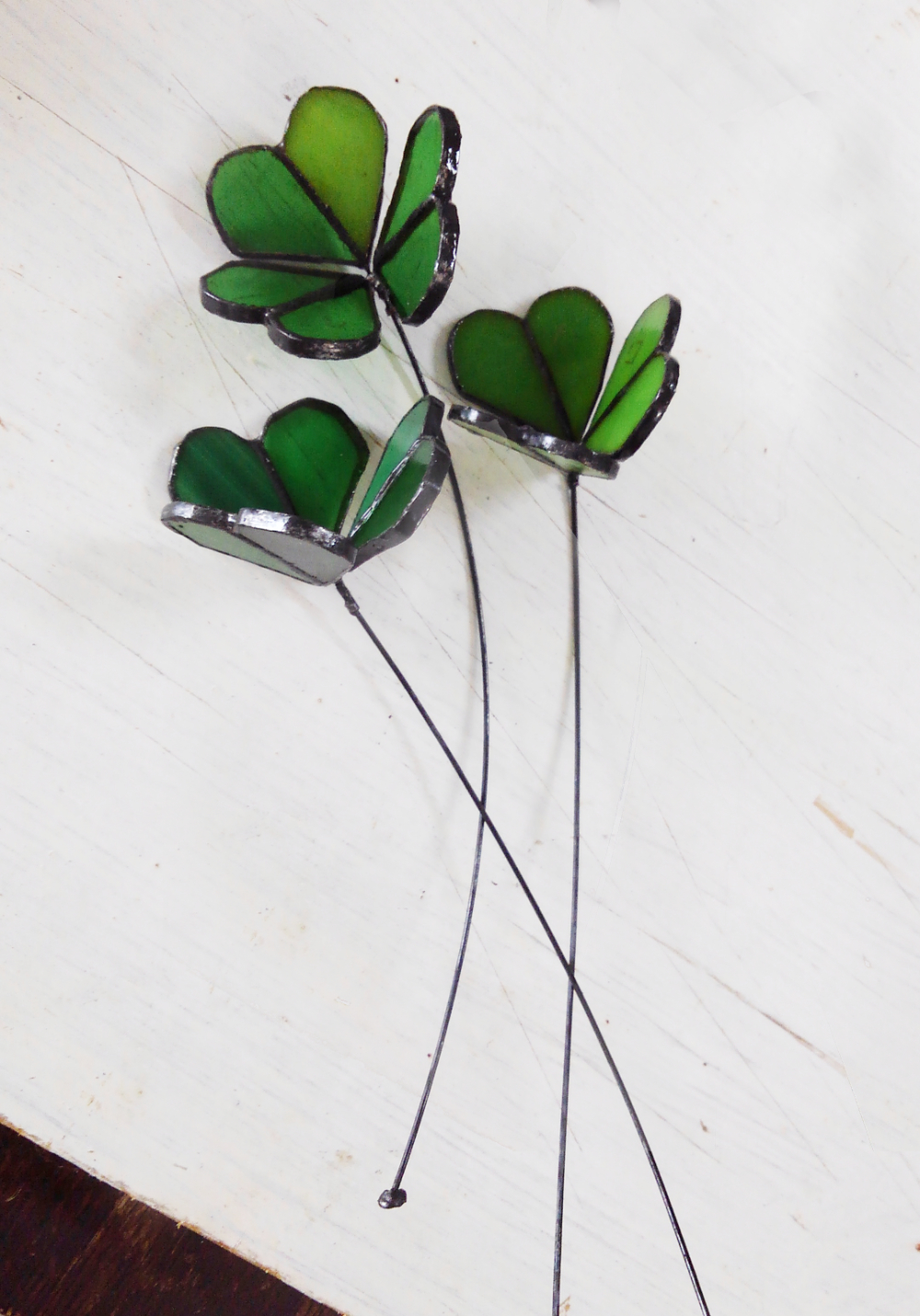 クローバーピッグ