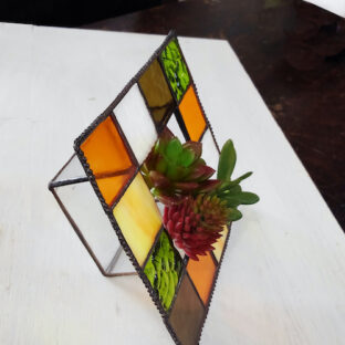 教室作品の紹介/テラリュウム